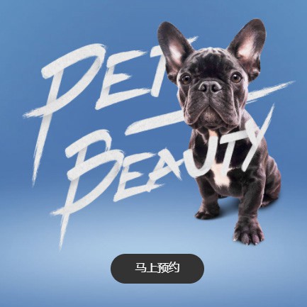 九龙坡宠物中心小程序开发