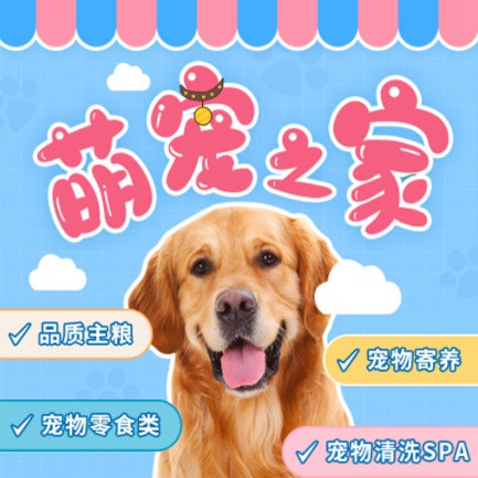 九龙坡萌宠之家小程序开发